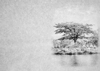 Black and White Image of Stillife Tranquil Africa Lake with Thorn Tree on Card Banner