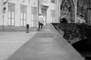 people walking in the street