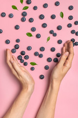 Fresh juicy blueberries with green leaves and female hands on pink background. Blueberries background. Flat lay top view. Healthy berry, organic food, antioxidant vitamin blue food. Blueberry pattern