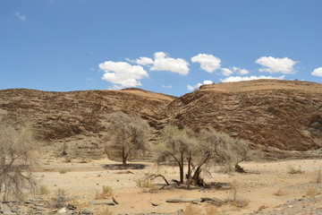 Dry river in the desert
