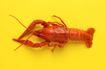 Delicious boiled crayfish on yellow background, top view