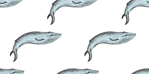 Seamless Pattern With drawing whales