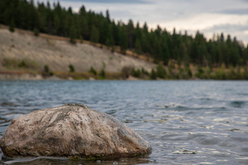 mud covered rock on shore of lake
