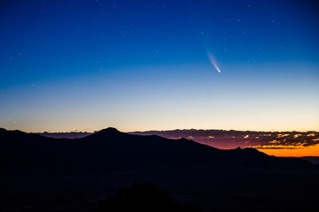 Comet NEOWISE Over the Landscape of Great Basin National Park