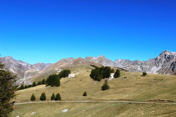 Alpenpanorama