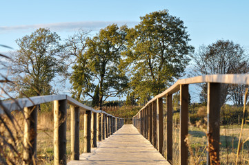 Obraz premium A bridge over a wild river backwaters