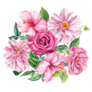 Bouquet of pink dahlia, hibiscus, roses flowers, isolated white background, watercolor botanical illustration