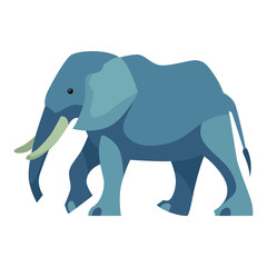 Flat illustration of walking blue grey elephant