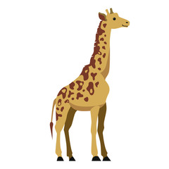 Fototapeta premium Flat illustration of standing brown giraffe