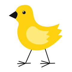 Flat vector illustration of yellow chick