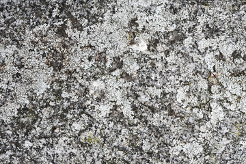 stone wall background