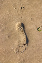 Fototapeta na wymiar beach footprint foot