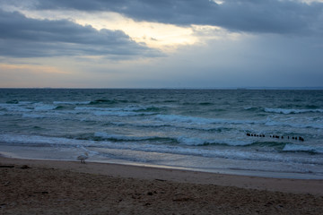 view of the rough sea at sunset