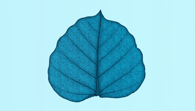 Leaf natural background concept  close-up 3d rendering