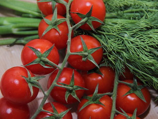 cherry tomato red on a branch with greens
