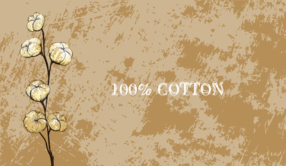 The inscription "100% cotton" near the blooming cotton on a decorative background. Flower illustration. Botanical design. Perfect for postcards, banners. EPS 10