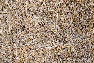 The texture of the straw block for the construction of environmentally friendly houses.