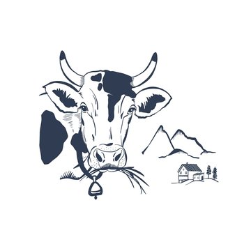 recommend clip art: cow head vector vintage illustration for design, isolated on white background