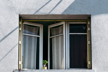 Fenêtre d'un immeuble avec un pot de plante verte bonsaï - Architecture style minimaliste	