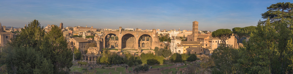 Views of the Roman Forum, Rome, Italy