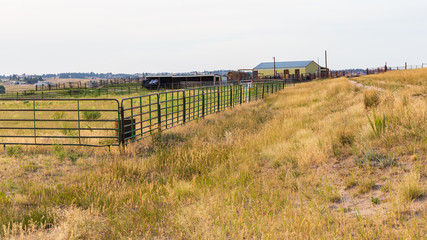 Fototapeta na wymiar Pastoral scene of a late summer afternoon of a farming area near Denver with barn, corrals, pasture grass