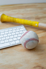 Sports and baseball journalism writing