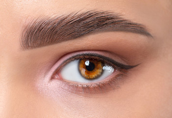Eyes and eyebrows close up. Portrait of a beautiful teenage girl with beautiful makeup and healthy...