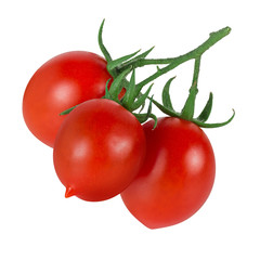 Tomatoes on a branch with leafs isolated on white background with clipping path