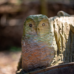 Obraz premium great horned owl