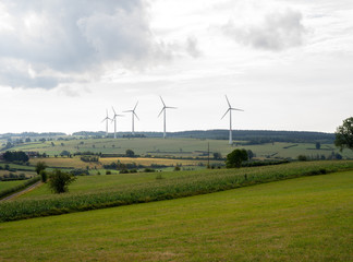 wind turbines in the field
