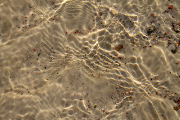 Sandy bottom of a transparent reservoir, lake, river or stream. The bottom is visible through the water.