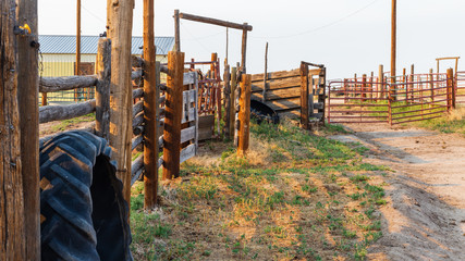 Rustic corral fencing on a working farm one late summer afternoon near Denver with barn, corrals,...