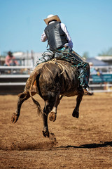 Cowboy Bull Riding A Bucking Bull