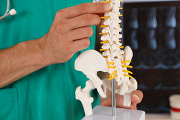 Back pain relief concept. Doctor chiropractor explains causes of back pain lumbar spine model