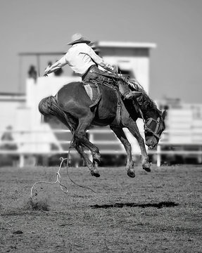 Cowboy Rides A Bucking Horse