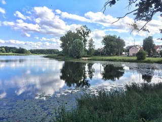 Obraz premium reflection of trees in water