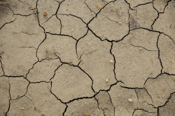 background of dry cracked soil