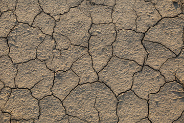 background of dry cracked soil