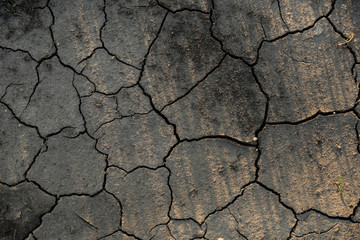 background of dry cracked soil