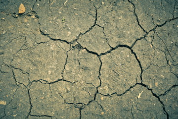 background of dry cracked soil
