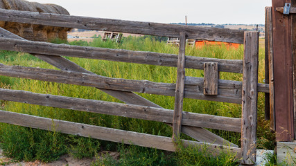 Fototapeta na wymiar Old wooden fence gate with large round bales of hay in the background on a late summer day at a working farm near Denver
