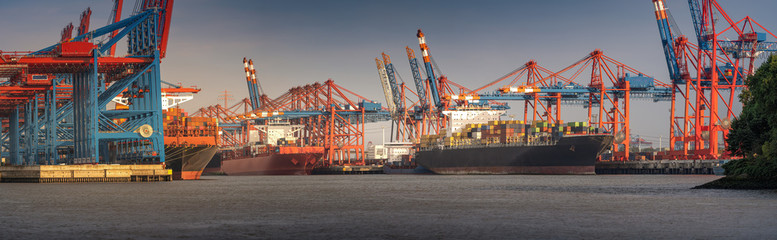 Panorama from a container terminal in the port of Hamburg in sunny weather in the evening