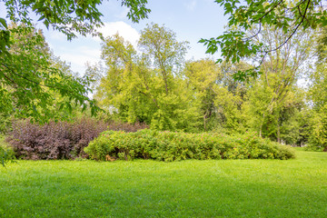 Green grass in the walking area of the summer city park