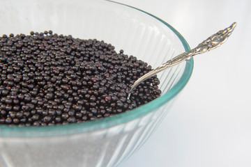 Wild Ripe Elderberries in Clear Bowl on White background with Spoon