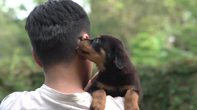 Puppy dog licking the neck and face of adult man. Slow motion.