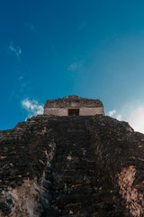 Fototapeta premium Tikal desde abajo