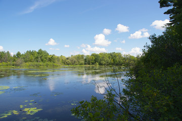 A beautiful lake on a sunny, summers day