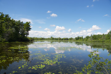 Fototapeta na wymiar A beautiful lake on a sunny, summers day