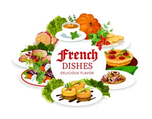 France cuisine vector marmite, soup, foie grass, cabbage stuffed with meat and quiche with tomatoes. Bacon wrapped liver plate, potato caserrole, pumpkin soup. French food, dishes round frame, poster
