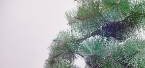 Unadorned Christmas tree against the white background. Decorative Christmas tree without any ornate. Copy space
